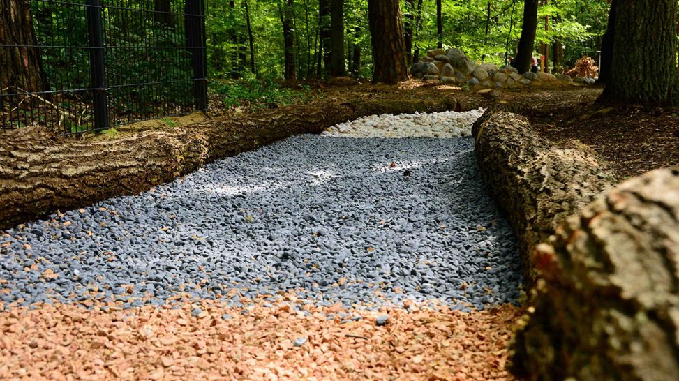 Der Pfad im Barfußpark Beelitz-Heilstätten führt über ein Steinbett (Quelle: rbb/Marco Gottschalk)