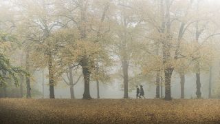 Zwei Menschen laufen morgens entlang einer Allee im dichten Nebel (Quelle: imago/photothek)