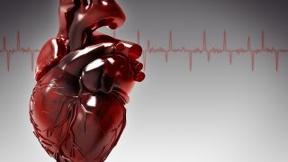 Grafik eines Herzens vor Herzrhythmuslinie (Quelle: Colourbox)