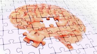 Gehirn geformt aus Puzzleteilen (Quelle: imago/Science Photo Library)