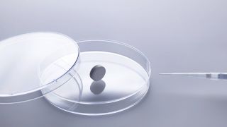 Eine weiße Tablette steht in einer Petrischale (Bild: imago/Science Photo Library)