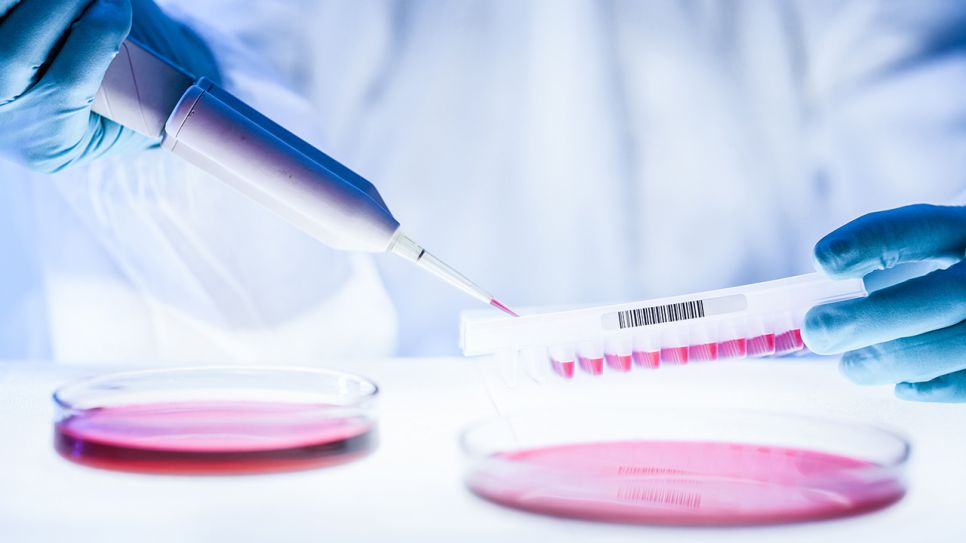 Hände in Gummihandschuhen arbeiten in einem Labor mit Petrischalen und Proben (Bild: Colourbox)