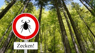 Vorsicht Zecken-Schild im Wald (Quelle: imago/Panthermedia)