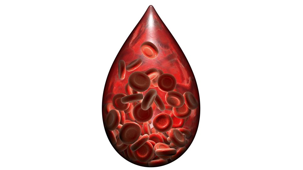 3D-Grafik: Tropfen Blut mit Blutplättchen (Bild: imago images/Science Photo Library)