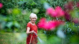 Seniorin im Garten gießt Pflanzen mit Gartenschlauch (Bild: imago images/Westend61)