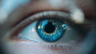 Blaues Auge blickt in Kamera (Bild: unsplash/Daniil Kuzelev)