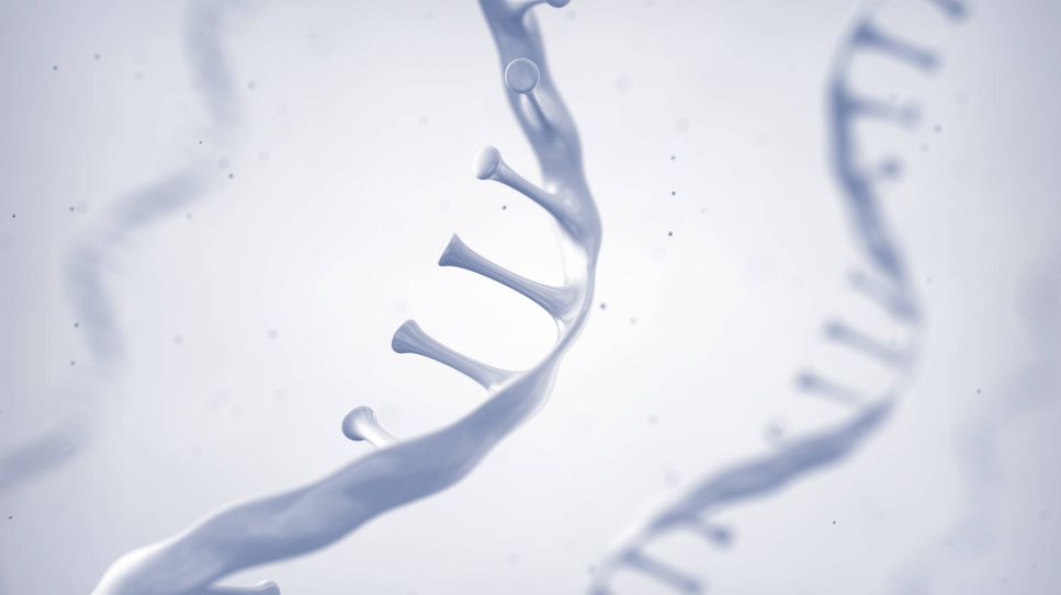 3D-Animation von RNA-Molekülen (Bild: imago/Science Photo Library)