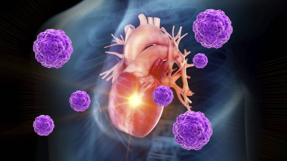 3D-Grafik von Viren vor einem menschlichen Herz (Bild: imago/Science Photo Library)