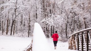 Frau joggt in verschneitem Winterwald (Bild: unsplash/Evan Hein)