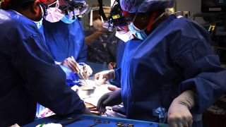 Transplantation eines Schweineherzens in einen Menschen (Bild: imago/Cover-Images)