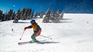 Mann fährt Ski auf sonniger Piste (Bild: unsplash/Glade Optics)