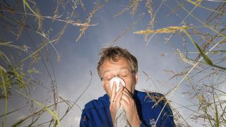 Mann mit Taschentuch in Getriedefeld niest (Bild: Colourbox)