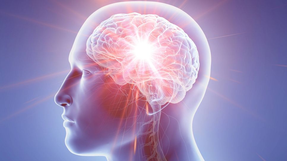Mini-Schlaganfall TIA: 3D Grafik eines Gehirns im menschlichen Kopf (Bild: imago/Science Photo Library)
