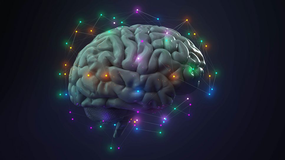 Emotion beeinflusst Gedächtnis: 3D-Grafik eines Hirns (Bild: imago/Alexander Limbach)