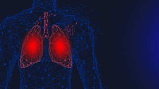 Lungenembolie, Bildanimation zeigt menschlichen Oberkörper mit Lungensystem in rot (Quelle: Colourbox)