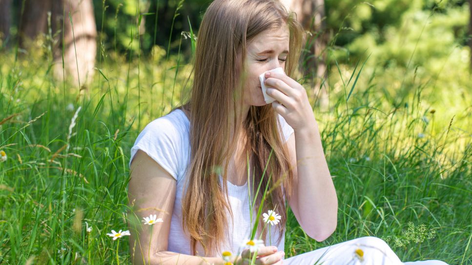 Heuschnupfen: Bild zeigt Frau, die zwischen hohen Gräsern sitzt und sich die Nase schnieft (Quelle: Colourbox)