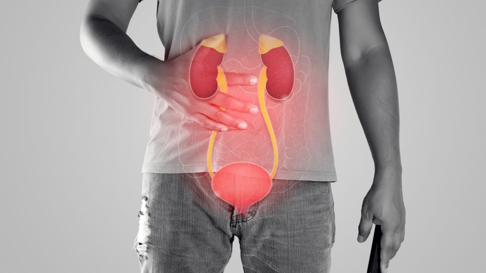 Blasenkrebs, Bild zeigt Mann der sich den Bauch hält, darüber liegt eine Grafik vom Aufbau einer Harnblase (Quelle: Colourbox)