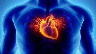 3D Herz in menschlicher Brust (Bild: Colourbox)