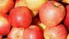 Rote Äpfel (Quelle: Colourbox)