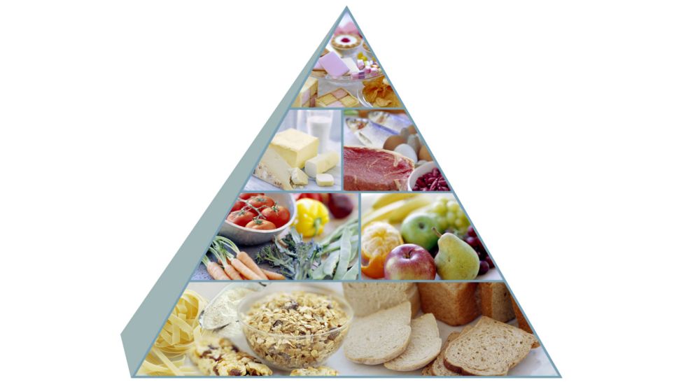 Ernährungspyramide (Quelle: imago/Science Photo Library)