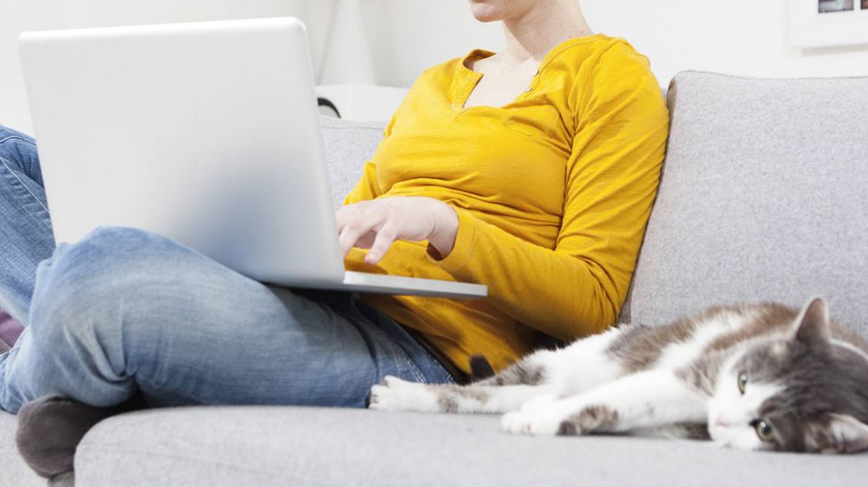 Frau sitzt mit Laptop auf dem Sofa, Katze liegt daneben (Quelle: imago/Westend61)