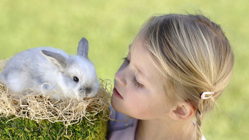 Kind mit einem Kaninchen (Quelle: imago/Westend61)