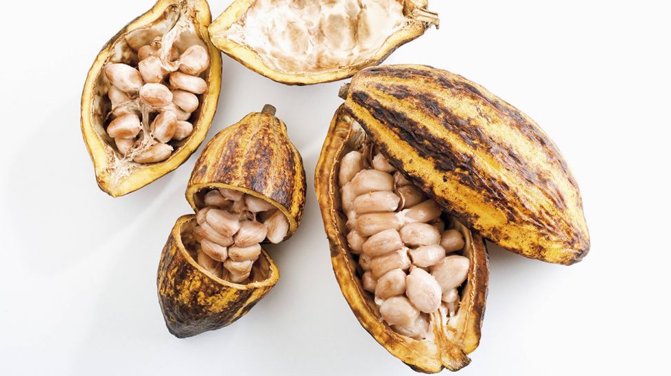 Aufgeschnittene Kakaobohnen (Bild: imago images/imagebroker)