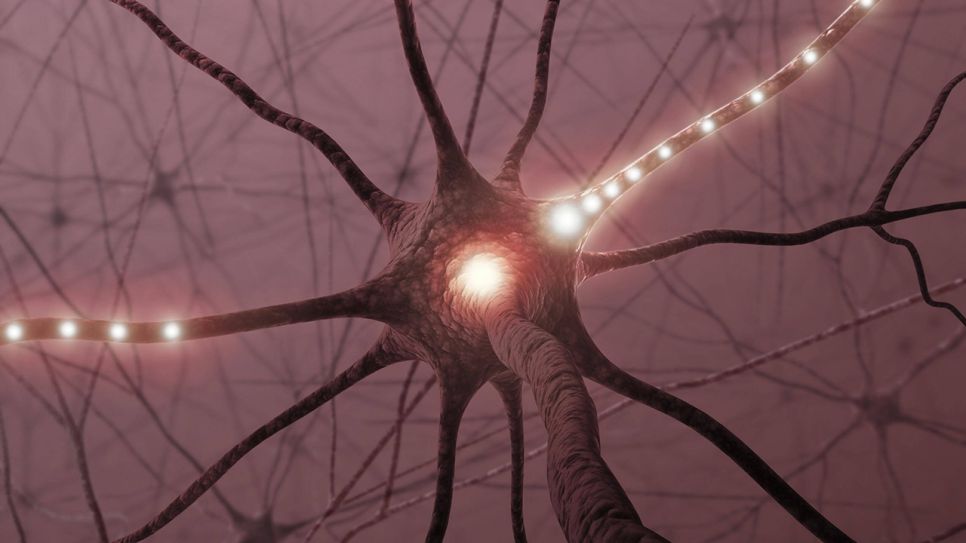 3D-Grafik: Neuronen in Gehirn (Bild: imago images/Panthermedia)