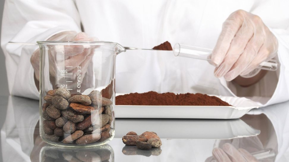 Kakaopulver wird auf einem Labortisch in Untersuchungsröhrchen gefüllt (Bild: imago images/blickwinkel)
