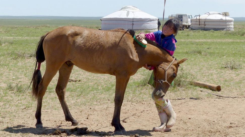 Mädchen bürstet Pferd; Quelle: rbb/KiKA