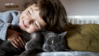 Ein Mädchen kuschelt mit einer Katze, Logo "rund um... Tierliebe" (Quelle: rbb/imago images/Westend61)