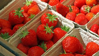 Erdbeeren (Quelle: colourbox)