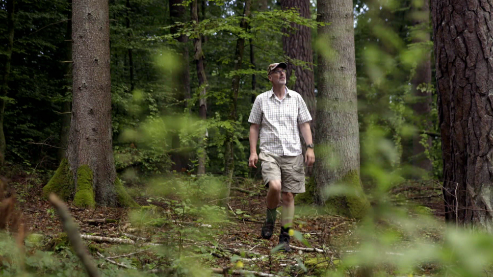 Der mit dem Wald spricht - Unterwegs mit Peter Wohlleben (Quelle: rbb)