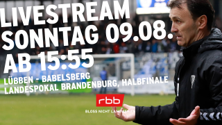 Babelsberg-Trainer Uzelac breitet die Hände aus (Quelle: imago images/tagesspiegel)