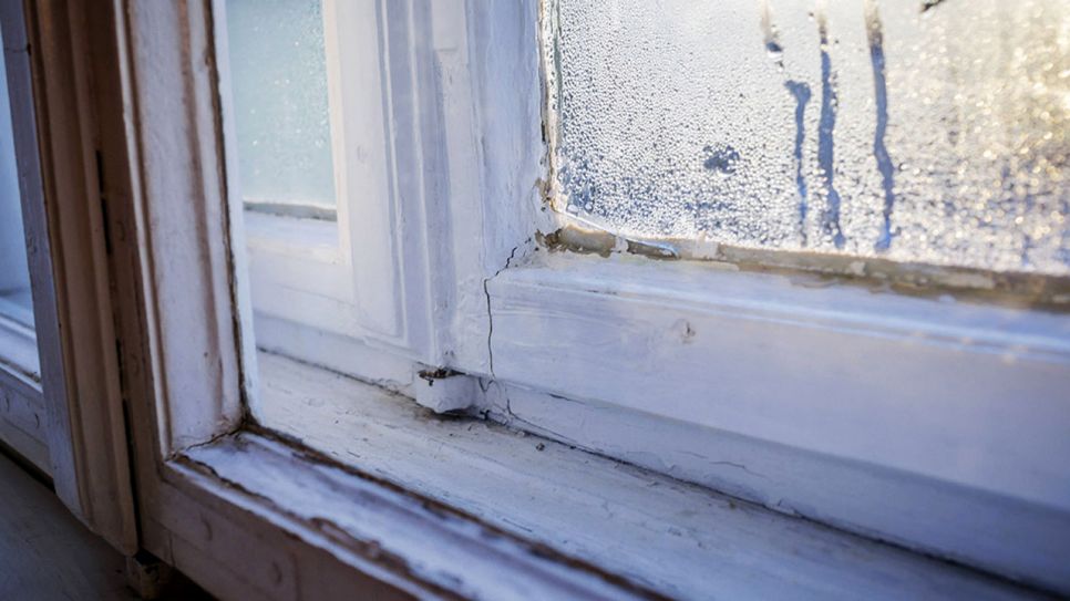 Kondenswasser hat sich an einem kalten Wintermorgen an einem alten Doppelkastenfenster niedergeschlagen (Quelle: imago images/photothek)