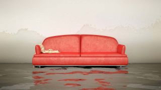 Wasserschaden in einem Wohnzimmer mit rotem Sofa. Quelle: imago images/Markus Gann