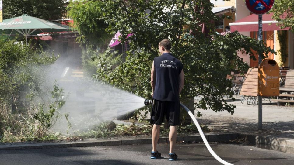 Feuerwehrmann in Berlin beim Gießen einer Grünanlage (Quelle: imago images /snapshot)
