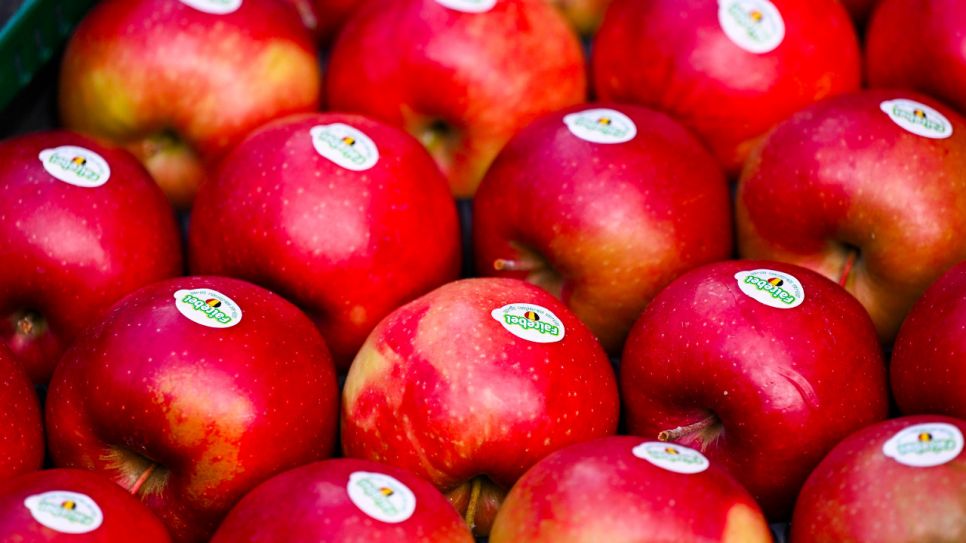 Obst | Beitrag | Lesedauer etwa 3 Minuten - Äpfel: Gespritzt wird so gut  wie überall | rbb