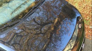 Ein Auto unter einem Kastanienbaum (Quelle: imago images/Waldmüller)