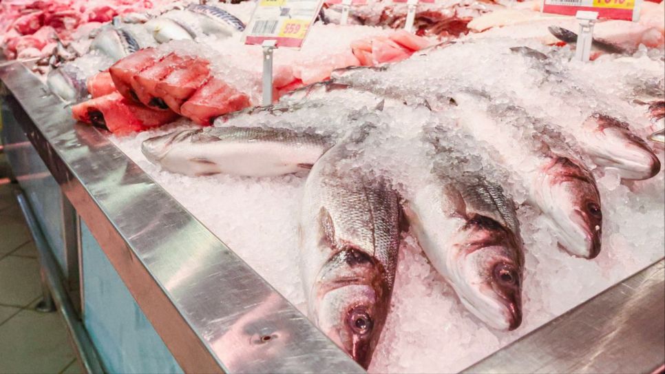 Frischer Fisch in einer Auslage im Supermarkt (Quelle: imago images/ITAR-TASS)