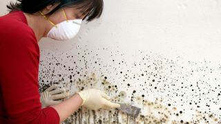 Eine Frau mit Mundschutz entfernt Schimmel von einer Wand (Quelle: imago images/blickwinkel)