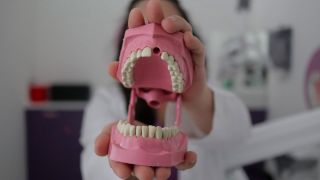 Eine Zahnärztin zeigt ein Modellgebiss (Quelle: imago images/NurPhoto)