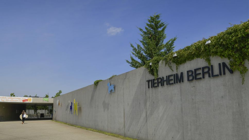 Tierheim Berlin, Bild zeigt Mauer des Tierheims mit Aufschrift (Quelle: imago images / Schöning)
