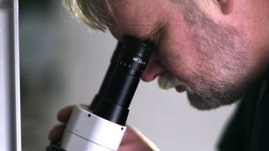 Rechtsmediziner Dr. Harald Voss schaut durch ein Mikroskop (Quelle: rbb)