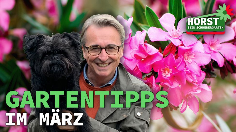 Horst Mager und sein Hund vor einem blühenden Oleander (Quelle: rbb/Colourbox)