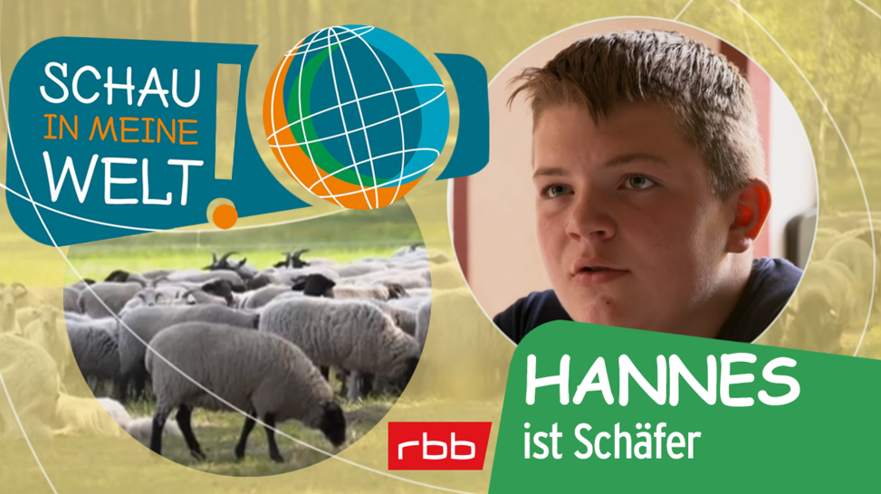 Collage zu "Hannes ist Schäfer". (Quelle: rbb)