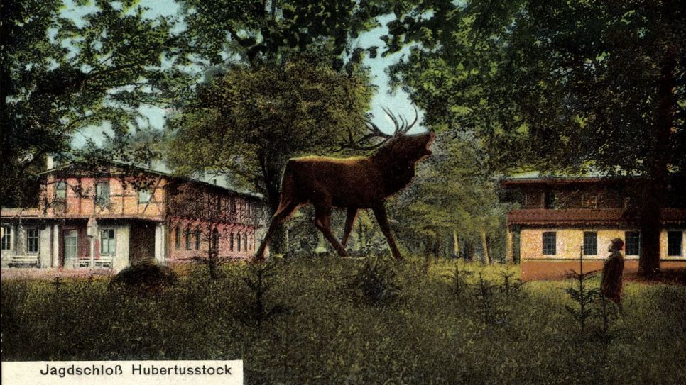 Jagdschloss Hubertusstock - picture alliance / arkivi