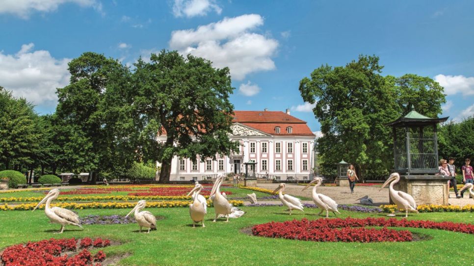 Schloss Friedrichsfelde - picture alliance / DUMONT Bildarchiv