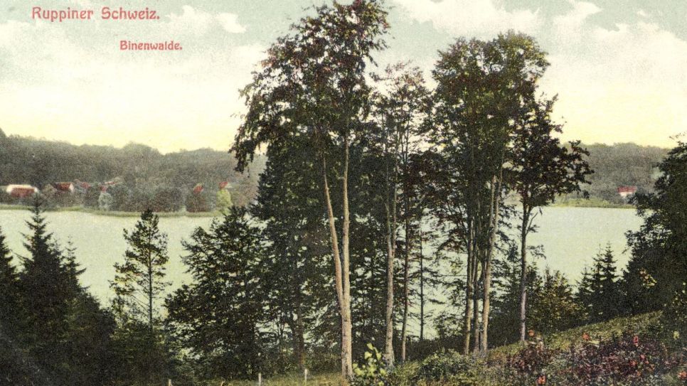 "Ruppiner Schweiz. Binenwalde" - Fotopostkarte um 1910