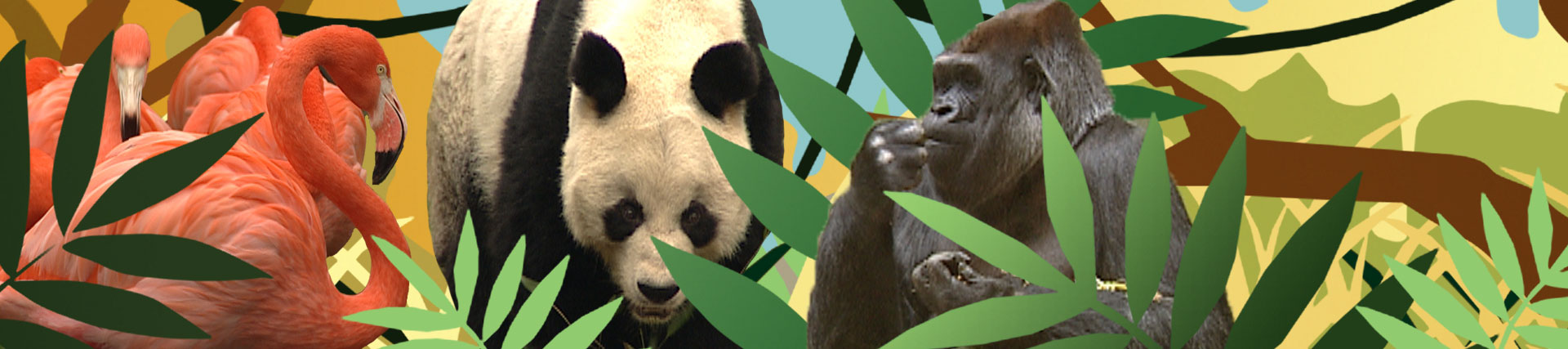 Banner: Panda, Gorilla & Co. Quelle: rbb